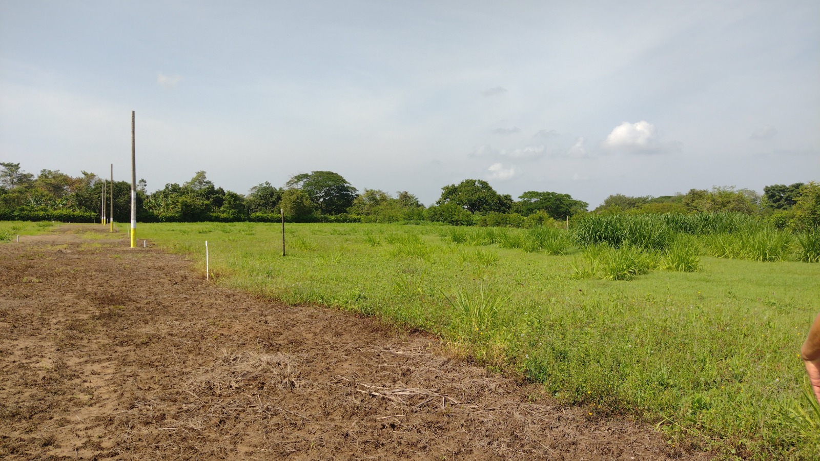 Finca Raiz